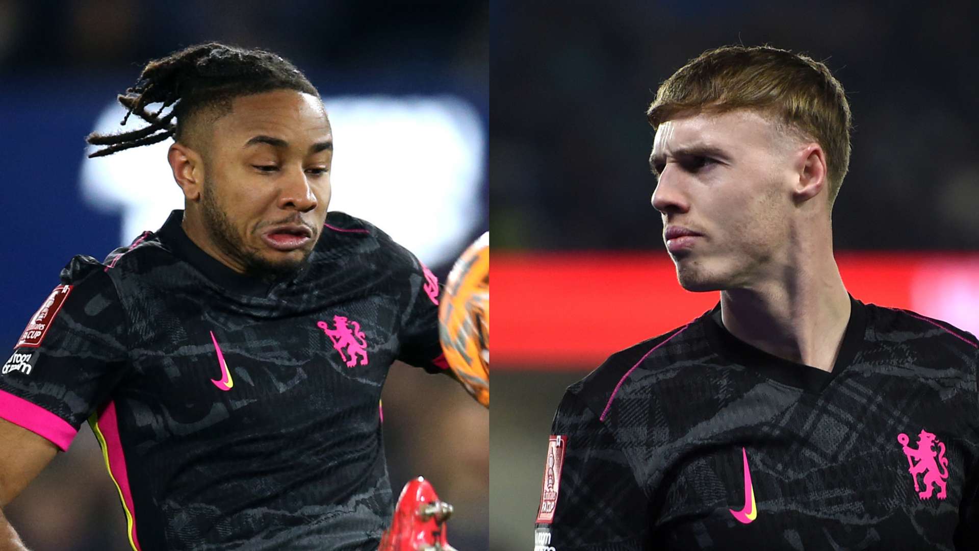 這一成功的 這一成功的